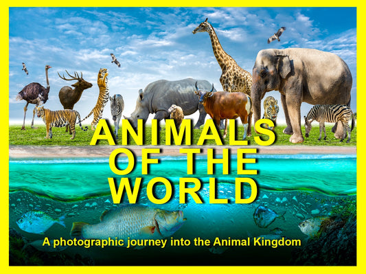 Animals of the World eBook